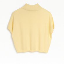 Load image into Gallery viewer, Lemon Short sleeve knit

